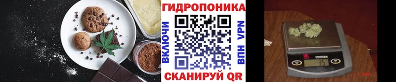 как найти наркотики  площадка какой сайт  Печенье с ТГК марихуана  Оленегорск 