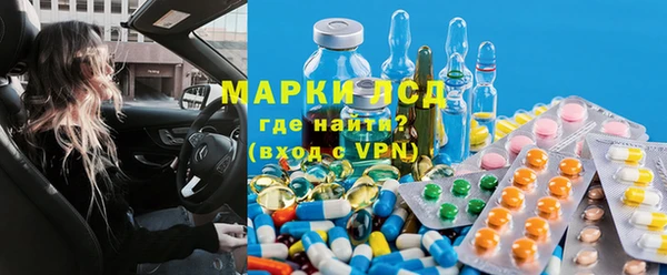 мяу мяу мука Баксан